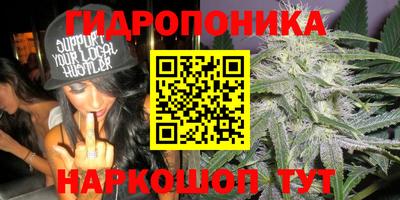 марки lsd Северобайкальск
