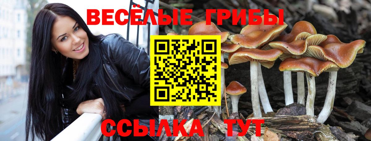 Галлюциногенные грибы GOLDEN TEACHER  Вход с VPN  Обнинск 